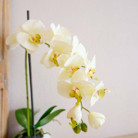 Bed and Breakfast La Rosa Dei Venti Вилласимиус Экстерьер фото