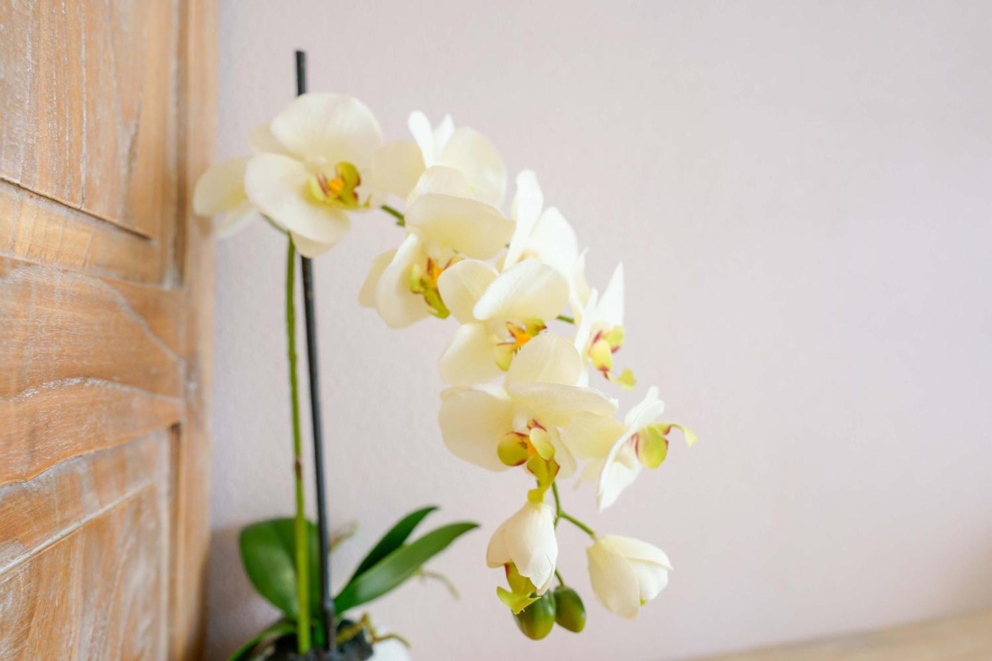Bed and Breakfast La Rosa Dei Venti Вилласимиус Экстерьер фото